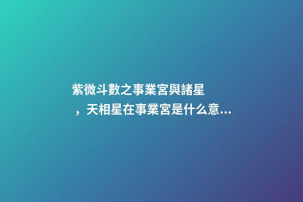 紫微斗數之事業宮與諸星，天相星在事業宮是什么意思？